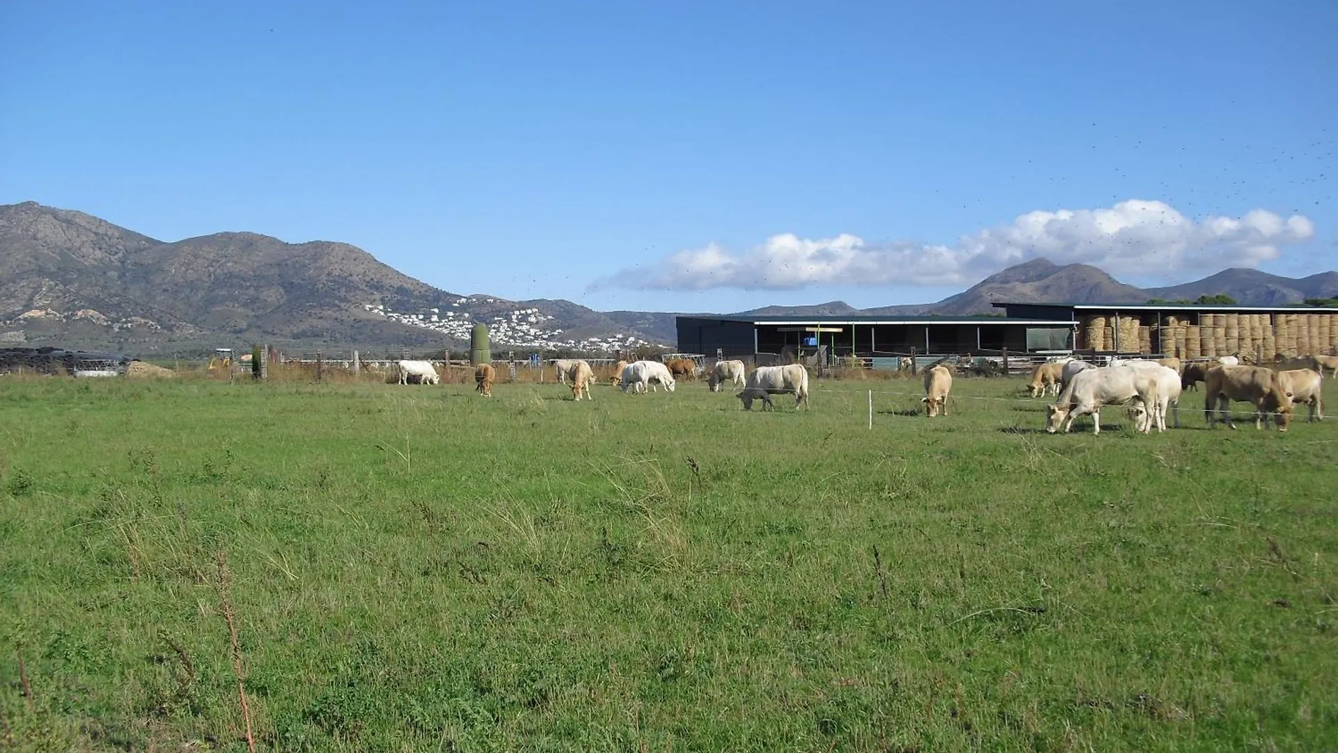 Country house Mas La Torre Guest House Palau Saverdera